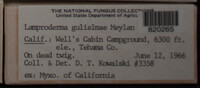 Image Associated With the Occurence